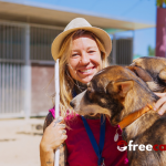 How Volunteering at Local Animal Shelters Impacts Mental Well-being