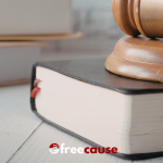 Non-Profit Compliance: Key Regulations for LLCs in Advocacy