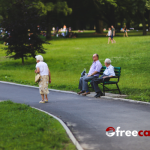 The Impact of Public Parks on Property Values and Community Health