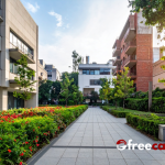 The Psychological Benefits of Urban Green Spaces